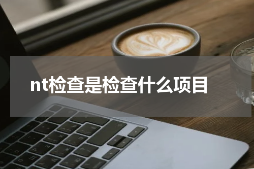 nt检查是检查什么项目