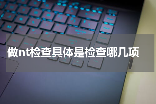 做nt检查具体是检查哪几项