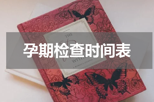 孕期检查时间表