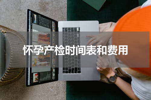 怀孕产检时间表和费用