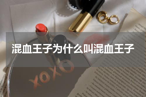 混血王子为什么叫混血王子
