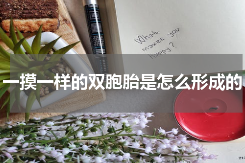 一摸一样的双胞胎是怎么形成的