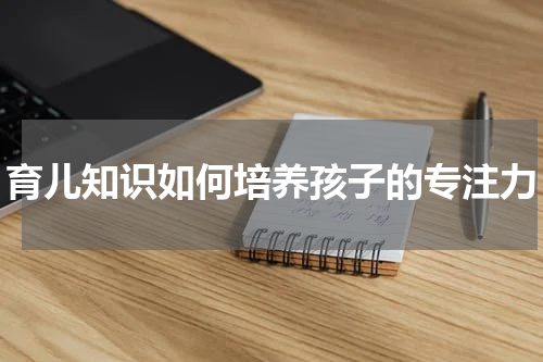 育儿知识如何培养孩子的专注力