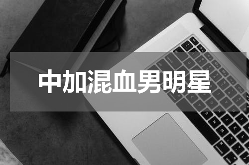 中加混血男明星