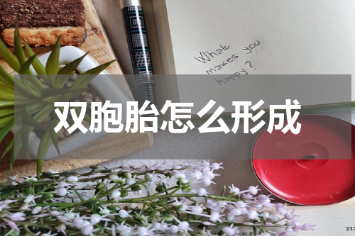 双胞胎怎么形成