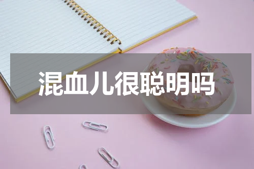 混血儿很聪明吗