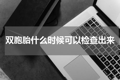 双胞胎什么时候可以检查出来