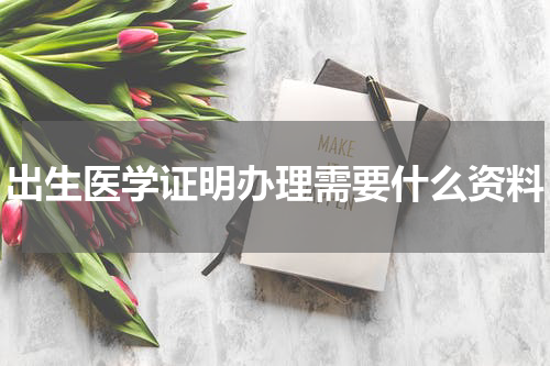 出生医学证明办理需要什么资料