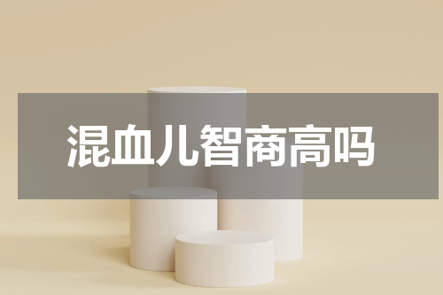 混血儿智商高吗