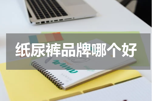 纸尿裤品牌哪个好