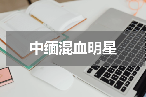 中缅混血明星
