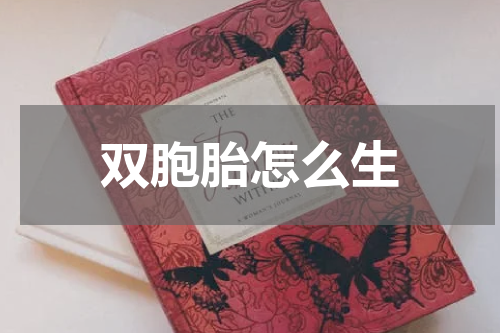 双胞胎怎么生