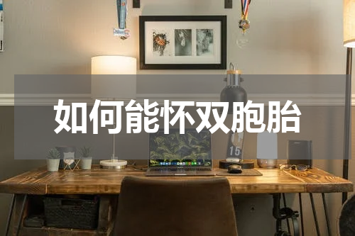 如何能怀双胞胎