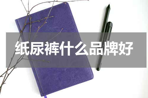 纸尿裤什么品牌好