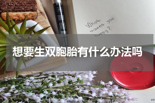 想要生双胞胎有什么办法吗