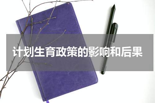 计划生育政策的影响和后果