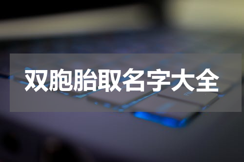 双胞胎取名字大全
