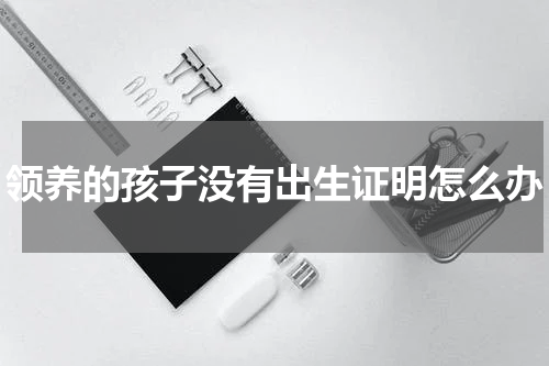 领养的孩子没有出生证明怎么办