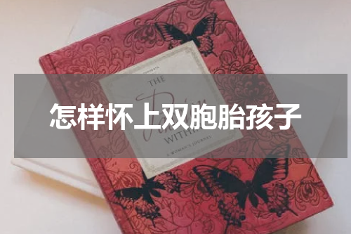 怎样怀上双胞胎孩子