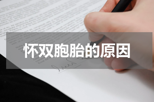 怀双胞胎的原因