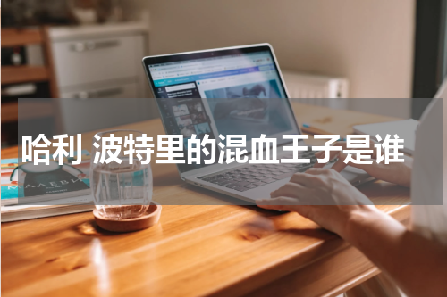 哈利 波特里的混血王子是谁