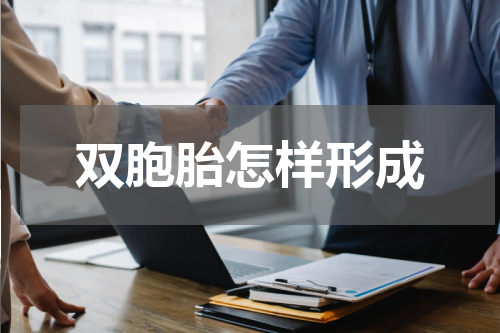 双胞胎怎样形成