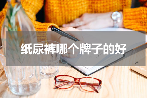 纸尿裤哪个牌子的好
