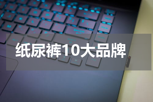 纸尿裤10大品牌