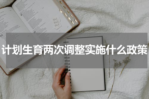计划生育两次调整实施什么政策