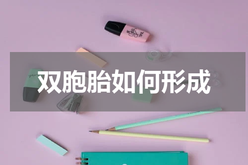 双胞胎如何形成