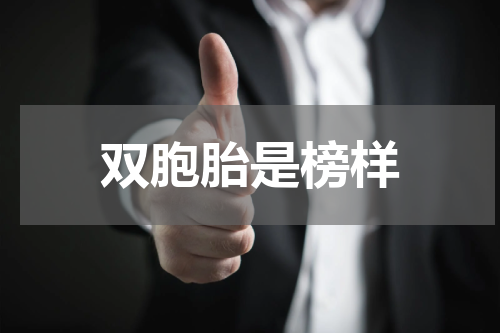 双胞胎是榜样