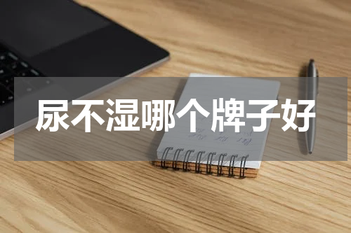 尿不湿哪个牌子好