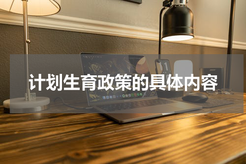 计划生育政策的具体内容