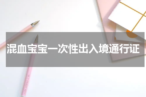 混血宝宝一次性出入境通行证