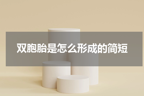 双胞胎是怎么形成的简短