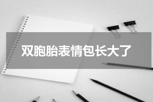 双胞胎表情包长大了
