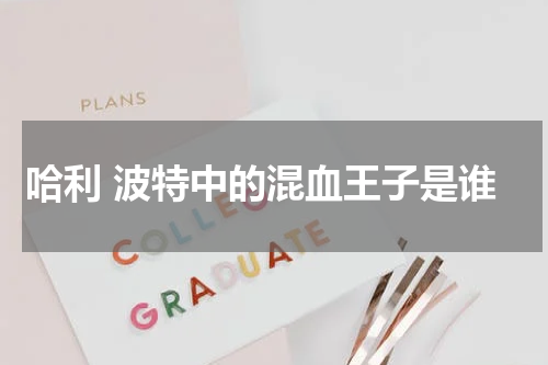 哈利 波特中的混血王子是谁