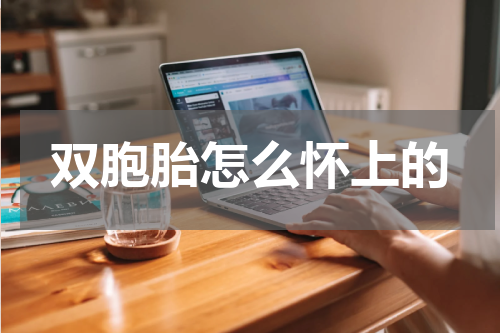 双胞胎怎么怀上的