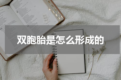 双胞胎是怎么形成的