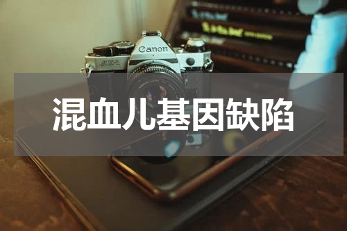 混血儿基因缺陷
