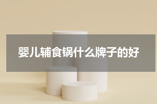 婴儿辅食锅什么牌子的好