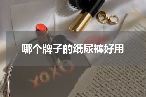 哪个牌子的纸尿裤好用