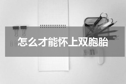 怎么才能怀上双胞胎