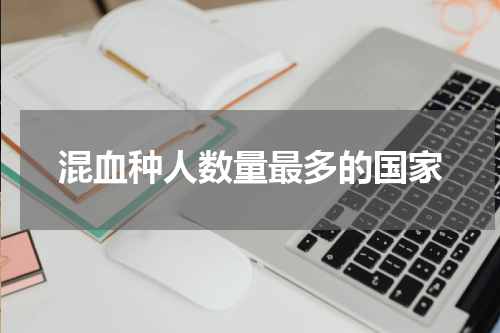 混血种人数量最多的国家