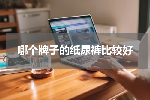 哪个牌子的纸尿裤比较好