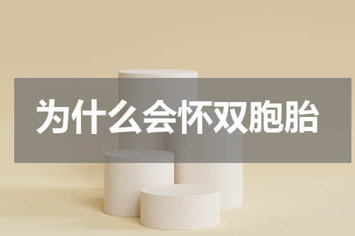为什么会怀双胞胎