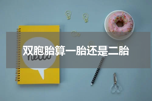 双胞胎算一胎还是二胎
