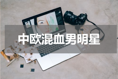 中欧混血男明星