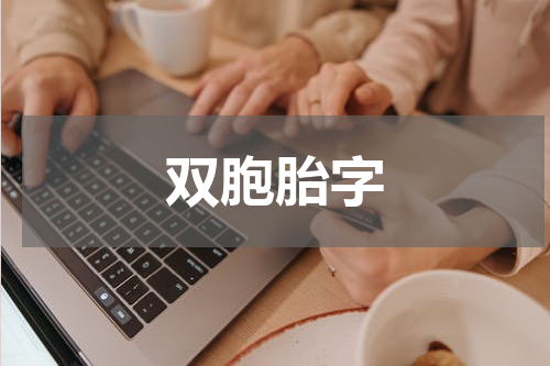 双胞胎字