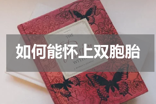 如何能怀上双胞胎